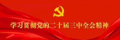 程力汽車集團學習貫徹中央經濟工作會議精神